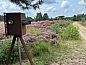 Guest house 323124 • Holiday property Veluwe • Vakantiehuis in Lunteren  • 13 of 14