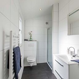 Moderne badkamer in Ferox 5 personen Wellness vakantiehuis, Lunteren, Veluwe, met douche en wastafel.
