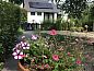 Guest house 323204 • Holiday property Veluwe • Vakantiehuis in Oldebroek  • 1 of 19