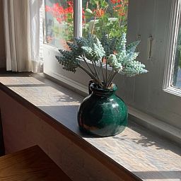 Unterkunft 323423 - Ferienhaus Veluwe - Huisje in Rheden