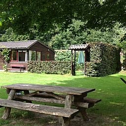 Unterkunft 323702 - Ferienhaus Veluwe - Vakantiehuisje in De Steeg