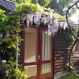 Unterkunft 323702 - Ferienhaus Veluwe - Vakantiehuisje in De Steeg