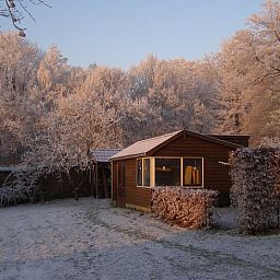Unterkunft 323702 - Ferienhaus Veluwe - Vakantiehuisje in De Steeg