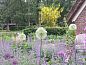 Guest house 323910 • Holiday property Veluwe • Vakantiehuis in Heerde  • 3 of 13