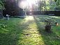 Guest house 323910 • Holiday property Veluwe • Vakantiehuis in Heerde  • 11 of 13