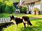 Guest house 323912 • Holiday property Veluwe • Huisje in Heerde  • 2 of 26