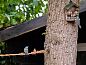 Guest house 324116 • Holiday property Veluwe • Vakantiehuisje in Hattemerbroek  • 10 of 26
