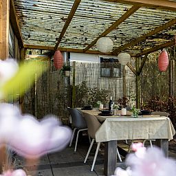 Verblijf 324117 - Chalet Veluwe - Boschalet Stijn