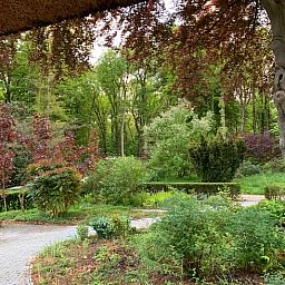 Guest house 324206 - Holiday property Veluwe - Vakantiehuis in Hattem