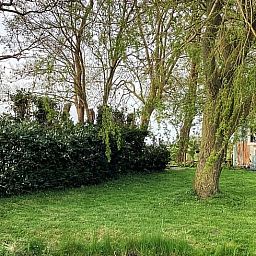 Lommerrijke tuin van Vakantiehuis in Doornspijk, Veluwe, Gelderland voor ontspanning.