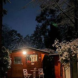 Vakantiewoning Doornspijk te midden van groene Veluwse bossen, perfect voor rustzoekers.