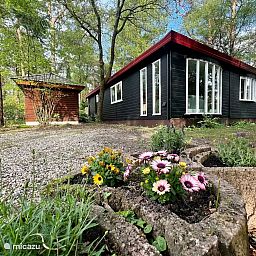 Verblijf 324333 - Chalet Veluwe - Boshuis op de Veluwe naast zwembad