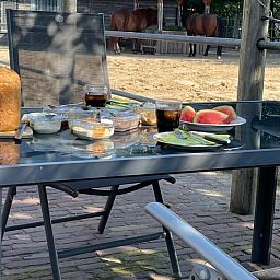 Geniessen Sie ein entspanntes Fruehstueck auf der Terrasse des Ferienhauses in Wapenveld, Veluwe, Gelderland, mit Blick auf die Pferde in der Umgebung.