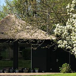 Cottage in Wapenveld, a charming cottage in the Veluwe in Gelderland, surrounded by green nature and flowering trees.