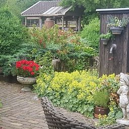 Guest house 324903 - Holiday property Veluwe - Vakantiehuis in Loenen