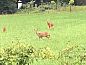 Guest house 324909 • Holiday property Veluwe • Vakantiehuisje in Loenen  • 4 of 24