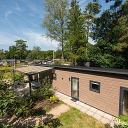 Guest house 325308 - Holiday property Veluwe - Bos Lodge