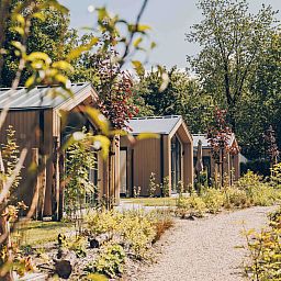 Verblijf 325317 - Vakantiewoning Veluwe - Tiny Lodge met Hottub