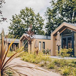 Guest house 325319 - Holiday property Veluwe - Tiny Lodge met Hottub