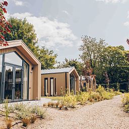 Guest house 325319 - Holiday property Veluwe - Tiny Lodge met Hottub