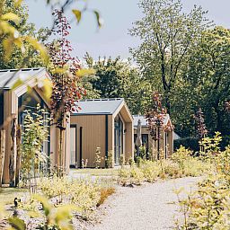 Verblijf 325323 - Vakantiewoning Veluwe - Tiny Lodge met hottub