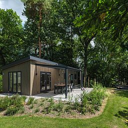 Guest house 325336 - Holiday property Veluwe - Loevestein Deluxe