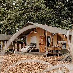 Unterkunft 325344 - Zelthaus Veluwe - Safaritent