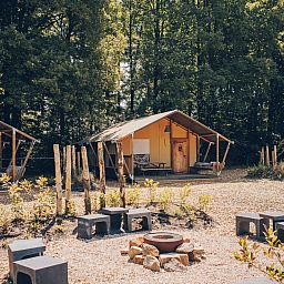 Unterkunft 325344 - Zelthaus Veluwe - Safaritent