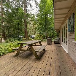 Guest house 325806 - Chalet Veluwe - Jutberg 78, No. 41
