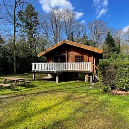 Guest house 325917 - Holiday property Veluwe - Vakantiehuisje in Bennekom