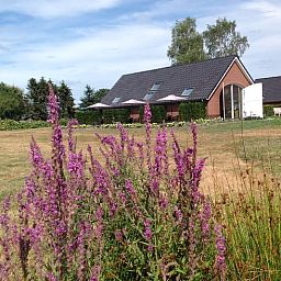 Vakantiehuisje in Eerbeek op de Veluwe, Gelderland, omgeven door kleurrijke bloemen en weidse natuur voor een ontspannen verblijf.