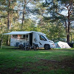 Unterkunft 326067 - Mobilheim Veluwe - Coldenhove | Basis campingplaats | C2