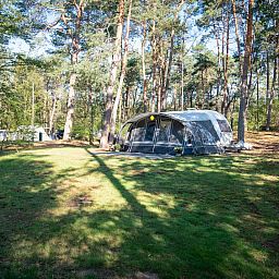 Verblijf 326068 - Stacaravan Veluwe - Coldenhove | Comfort campingplaats | C3