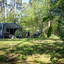 Verblijf 326087 - Stacaravan Veluwe - Coldenhove | Basis campingplaats | C5
