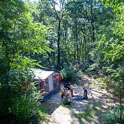 Unterkunft 3264114 - Mobilheim Veluwe - Rabbit Hill | Basis campingplaats | C10