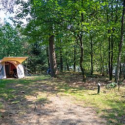 Unterkunft 326492 - Mobilheim Veluwe - Rabbit Hill | Comfort campingplaats | C10+