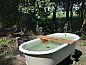 Guest house 3265109 • Holiday property Veluwe • Vakantiehuisje in Nijkerk  • 4 of 14