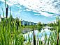 Guest house 326571 • Holiday property Veluwe • Vakantiehuis Veranda 4  • 10 of 26