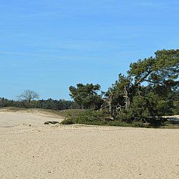 Guest house 326707 - Holiday property Veluwe - Vakantiehuis in Kootwijkerbroek