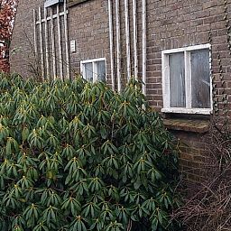Eingang eines Ferienhauses in Klarenbeek, Veluwe, mit rustikaler Holztuer und umgebender Natur in Gelderland.