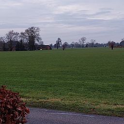 Ruhige Aussicht auf die gruenen Felder rundherum Ferienhaus in Klarenbeek, Veluwe, Gelderland, ideal fuer Naturliebhaber.