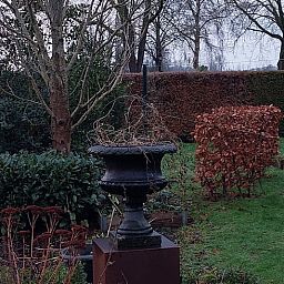 Rustikaler Garten bei Ferienhaus in Klarenbeek, Veluwe, Gelderland. Geniessen Sie die gruene Umgebung und die entspannte Atmosphaere dieses Ferienhauses.