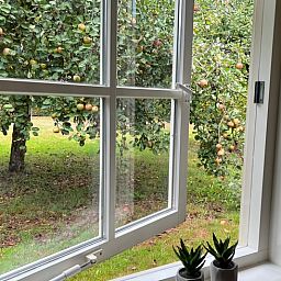 Guest house 327102 - Bed and Breakfast Veluwe - Vakantiehuisje in Beemte Broekland