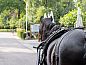 Guest house 327401 • Holiday property Veluwe • Vakantiehuis in Ugchelen  • 13 of 16