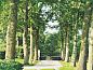 Verblijf 328401 • Vakantiewoning Veluwe • Huisje in Terschuur  • 3 van 26