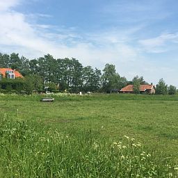 Uitzicht op weelderige velden nabij Vakantiehuis in Overschild, Groningen.