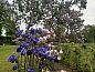 Guest house 350315 • Holiday property Zuidoost Groningen • Vakantiehuis in Vriescheloo  • 7 of 24