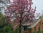 Guest house 350409 • Holiday property Zuidoost Groningen • Huisje in Bellingwolde  • 1 of 26