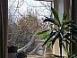 Guest house 350409 • Holiday property Zuidoost Groningen • Huisje in Bellingwolde  • 13 of 26