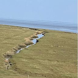 Unterkunft 351701 - Ferienhaus Zuidoost Groningen - GR046